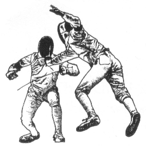 fencing2.gif